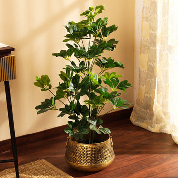 Faux Schefflara Plant , 3 Feet