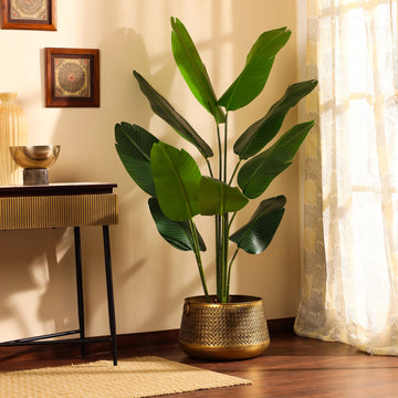 Faux Banana Tree, 5.2 feet