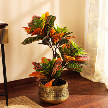 Hyper-realistic Faux Croton Plant, 3 Feet