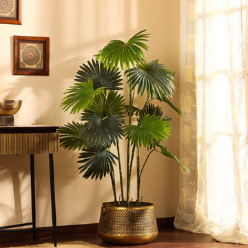 Faux Fan Palm Plant, 5.2 Feet