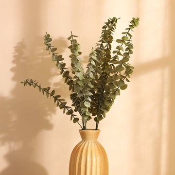 Faux Eucalyptus Sticks, Set of 3 (68cm)