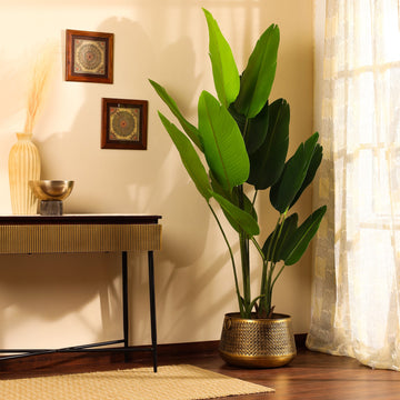 Faux Banana Tree, 6 feet