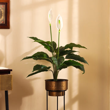 Faux Peace Lily Plant, 2.5 Feet