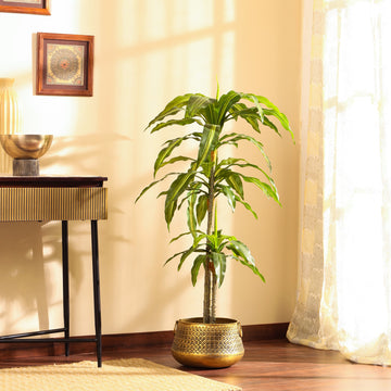 Faux Dracaena Plant, 4 Feet