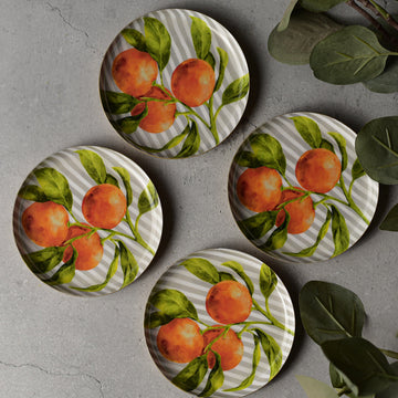 Tangerine Tree Coasters