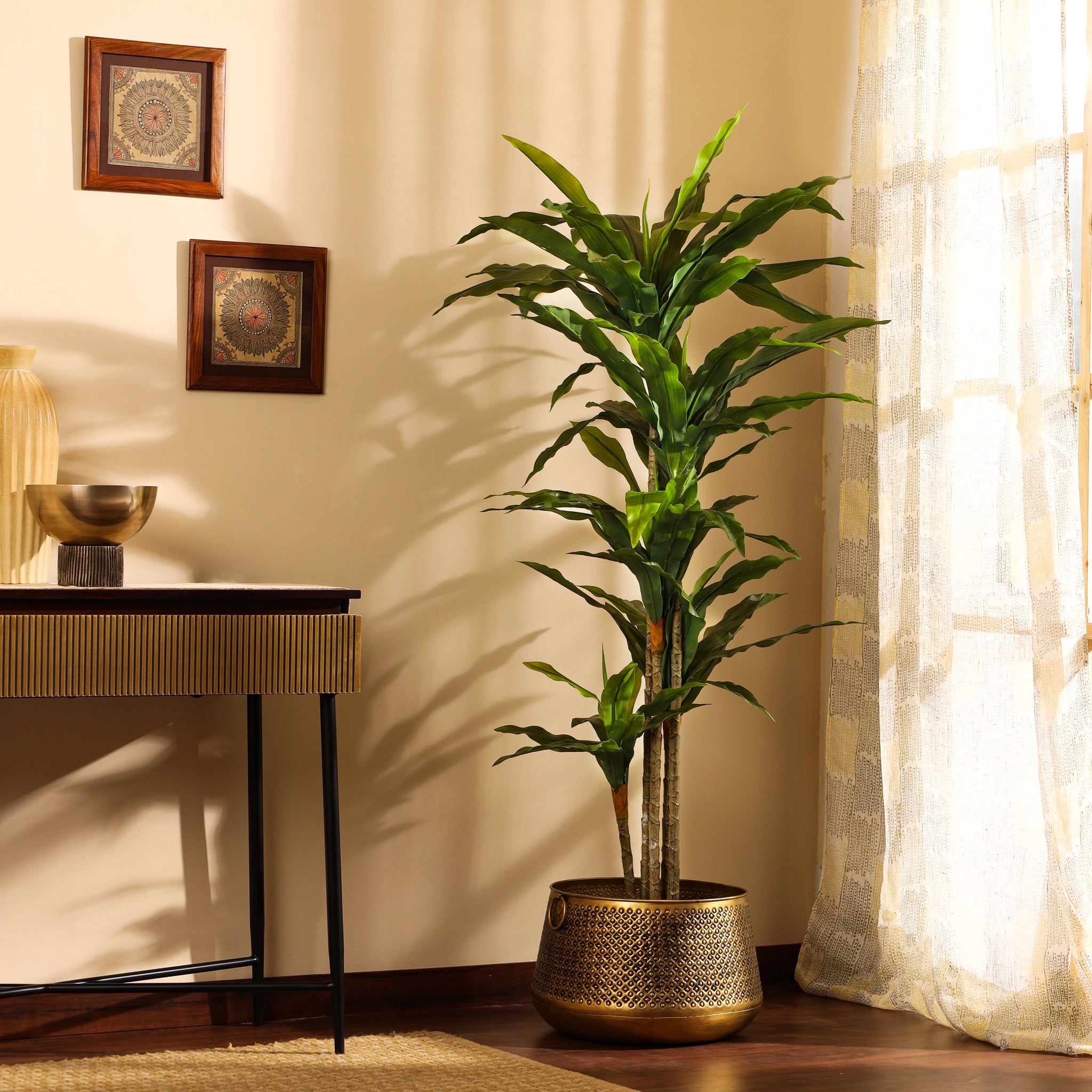 Faux Dracaena Plant, 6 Feet