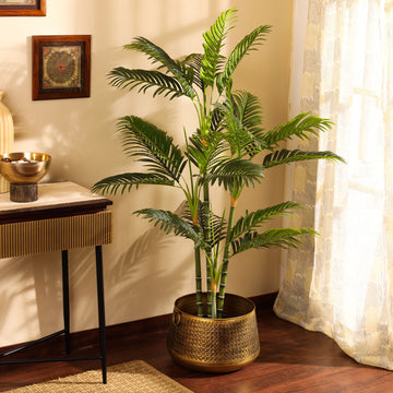 Faux Coastal Areca Palm Plant, 5 feet