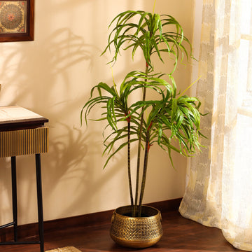 Faux Dracaena Plant, 5 feet