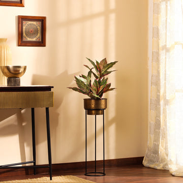 Faux Pink Dieffenbachia Potted Plant, 2 Feet