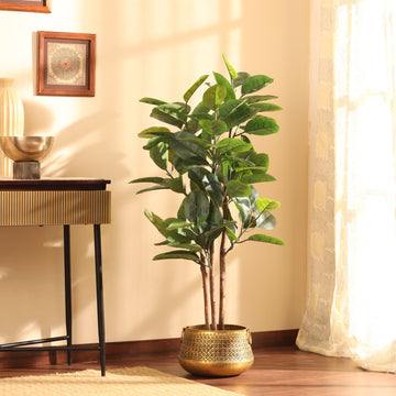 Faux Rubber Tree , 4 Feet