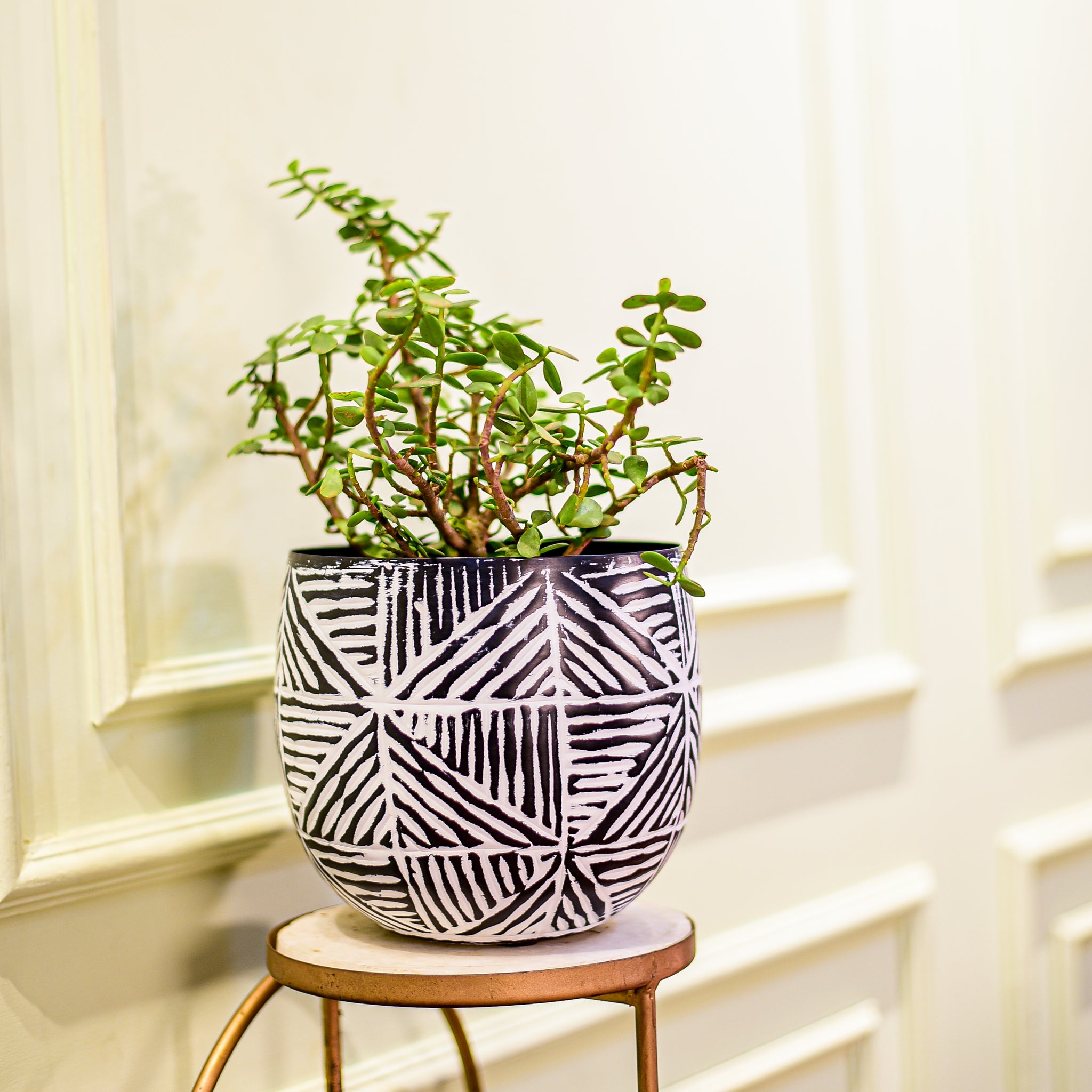 Eden Geometric Metal Planter