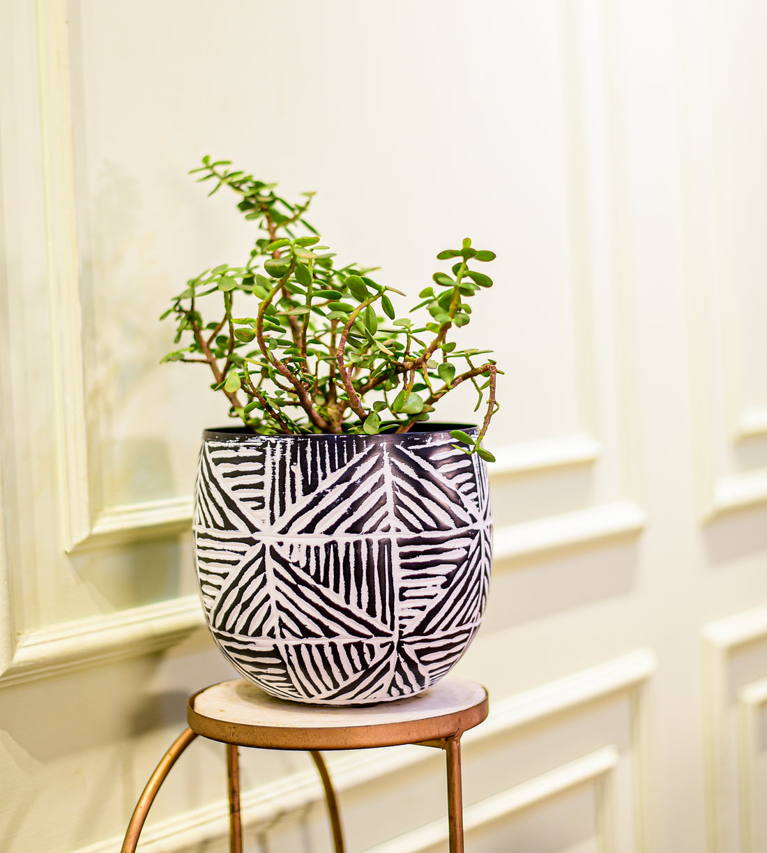 Eden Geometric Planter and Vase Set