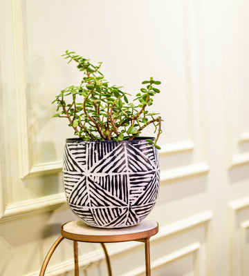 Eden Geometric Metal Planter